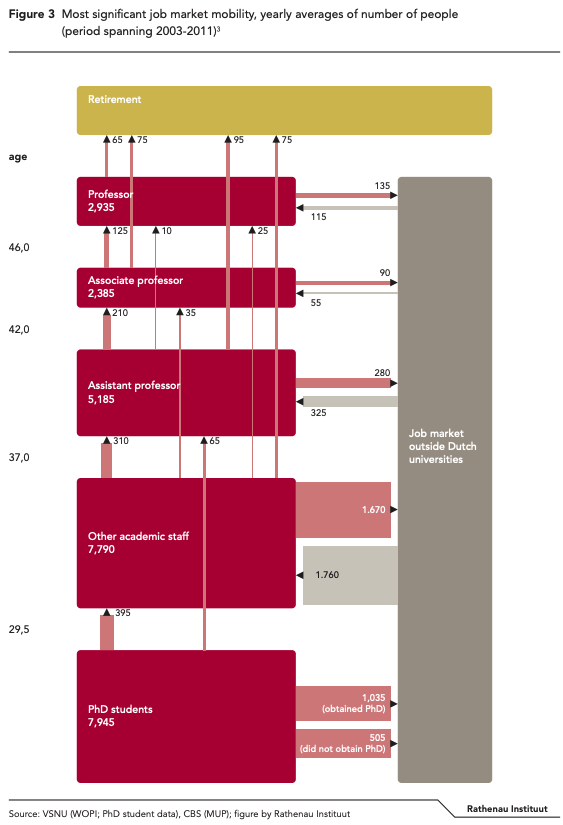 Chart: Dutch academic ranks and career transitions